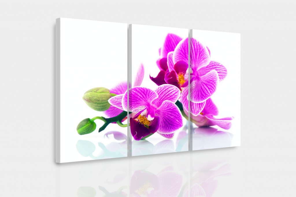 Vcedln obraz - Orchidej v prostoru 90x60  cm