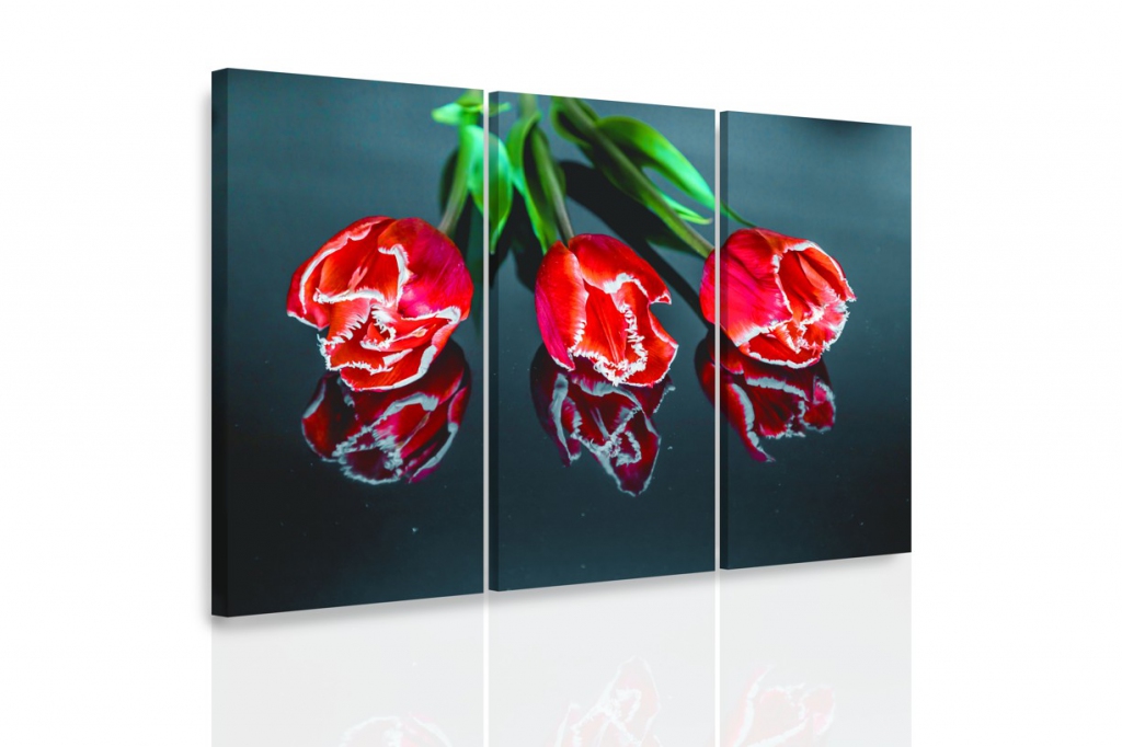 Vcedln obraz - Ti tulipny 90x60  cm