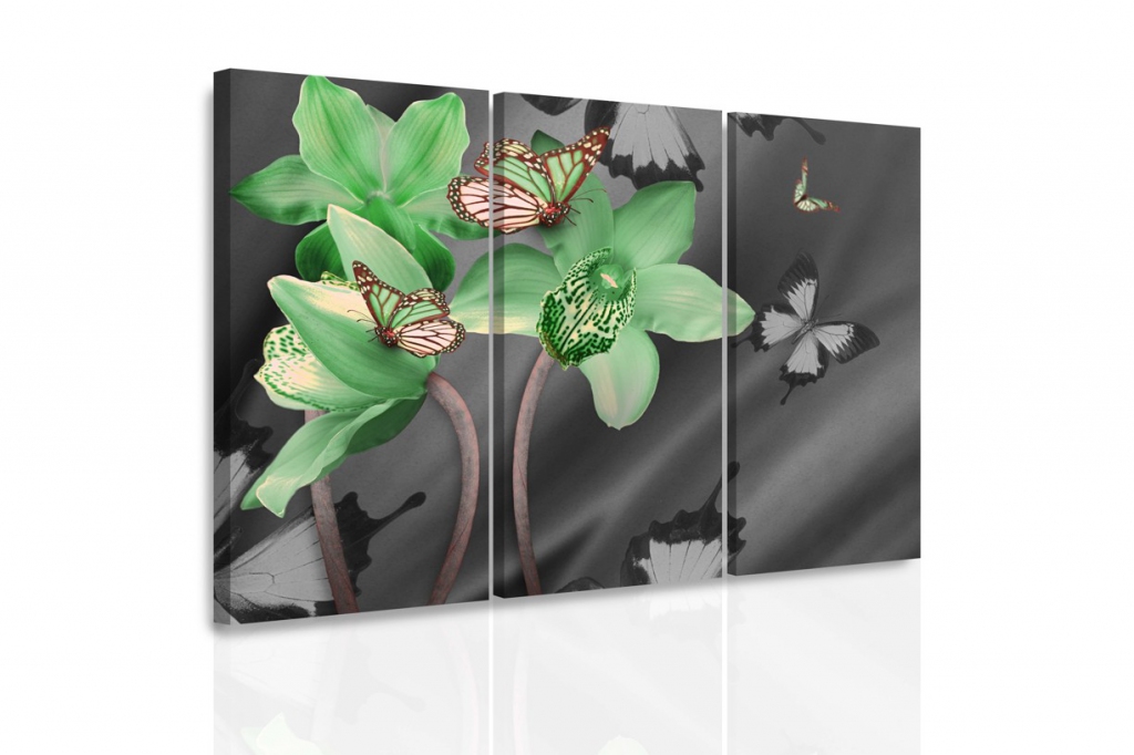 Vcedln obraz - Zelen orchidej a motli 90x60  cm