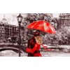 3D obraz Lska v Londn za oknem 50x40  cm