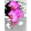 3D obraz Orchidej 80x80  cm