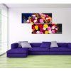 Atypick obraz ko r 160x80  cm