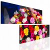 Atypick obraz ko r 160x80  cm
