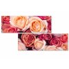 Atypick obraz Re 80x40  cm, 2 dly