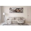 Luxusn vcedln obraz Hvzdn prach 120x80  cm, 5 dl