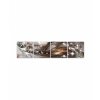 Luxusn vcedln obraz Hvzdn prach 120x80  cm, 5 dl