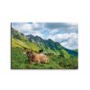 Obraz Alpsk krva 150x100  cm