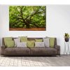 Obraz Andlsk dub 60x90  cm