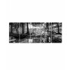 Obraz ernobl pohoda lesa 50x30  cm, 5 dl