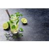 Obraz do kuchyn Mojito s ledem 90x60  cm