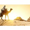 Obraz Egyptsk sahara II 150x100  cm