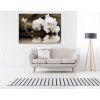 Obraz Motl orchidej nad hladinou 90x60  cm