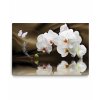Obraz Motl orchidej nad hladinou 90x60  cm