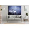 Obraz na pltn Lska labut 90x60  cm