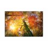 Obraz na pltn Lesn velikn 90x60  cm