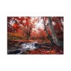 Obraz na pltn Podzimn les 120x80  cm