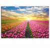 Obraz na stnu Barevn tulipny 60x40  cm