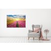 Obraz na stnu Barevn tulipny 90x60  cm