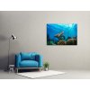 Obraz na stnu Mosk elva 150x100  cm
