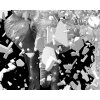 Obraz na ze - slon 150x100  cm