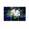 Obraz - ob magnlie 90x60  cm, 3 dly