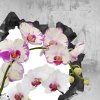 Obraz orchidej ve zdi II 90x60  cm