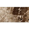 Obraz pampelika v rann rose 200x90  cm