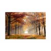 Obraz proslunn cesta 120x80  cm