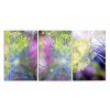 Obraz rann rosa I 120x80  cm