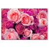 Obraz rov fantazie 150x100  cm