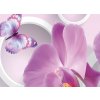 Obraz Rov motl orchidej 90x60  cm
