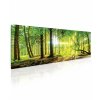 Obraz slunce v lese 180x80  cm