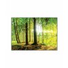 Obraz slunce v lese 180x80  cm