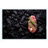 Obraz steak na uhlcch 60x40  cm