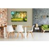 Obraz Strom v rannm slunci 90x60  cm
