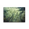Obraz tajemn les pln mlhy 150x100  cm