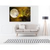 Obraz Tajemný měsíc 150x100  cm
