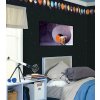 Obraz - Tygr ve vesmru 120x80  cm
