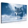 Obraz vlk v zim 60x90  cm