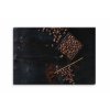 Obraz Vn rann kvy 60x40  cm