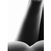 Obraz ensk tvary 50x30  cm