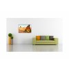 Obraz lut motl 90x60  cm