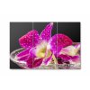 Vcedln obraz - Fialov orchidej 90x60  cm