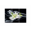 Vcedln obraz - Lilie a diamanty 90x60  cm