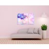Vcedln obraz - Modr orchidej 90x60  cm
