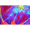 Vcedln obraz - Neonov kvty 150x60  cm