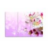 Vcedln obraz - Orchidej fantazie 90x60  cm
