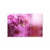 Vcedln obraz - Orchidej na hladin 150x100  cm
