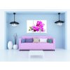 Vcedln obraz - Orchidej v prostoru 90x60  cm