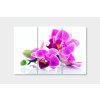 Vcedln obraz - Orchidej v prostoru 90x60  cm